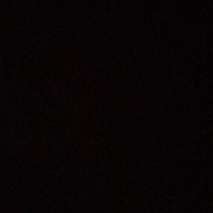 Meet your Posher, Leila